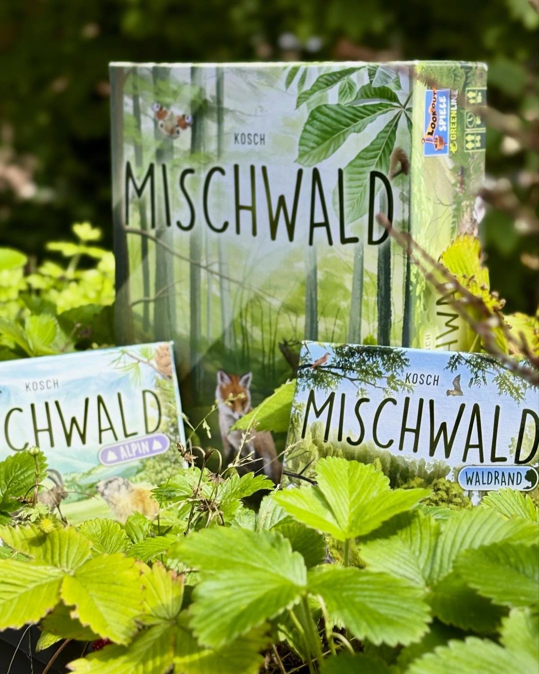 Mischwald