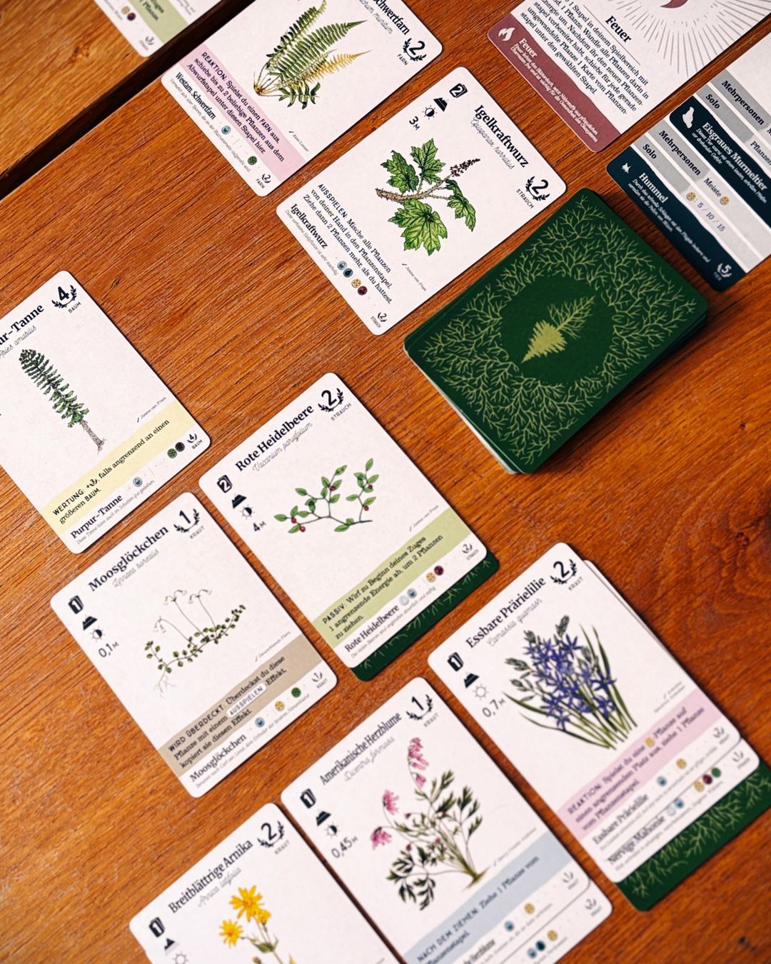 Reforest