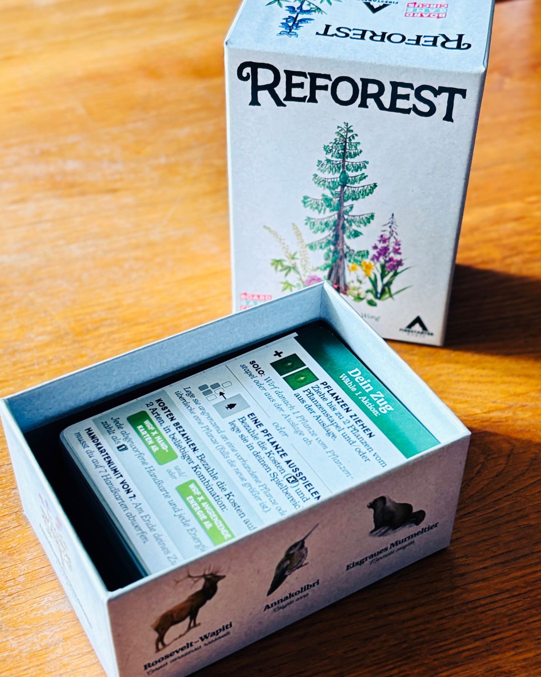 Reforest